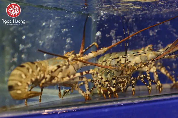 NGUYÊN LIỆU CÓ GÌ ĐẶC BIỆT