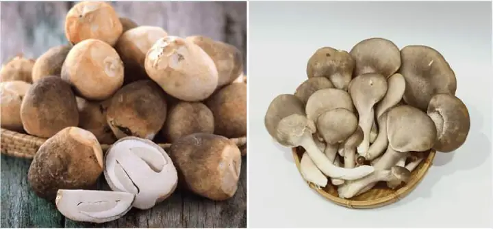 Cách Chọn Nguyên Liệu Ngon