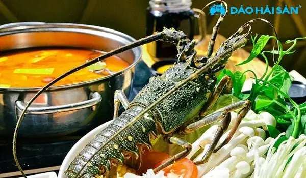 Cách nấu lẩu tôm hùm nấm Cách nấu lẩu tôm hùm nấm