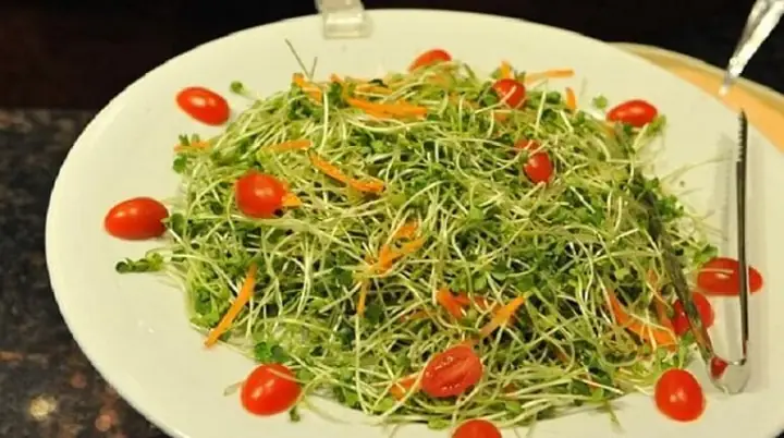 Salad rau mầm Salad rau mầm