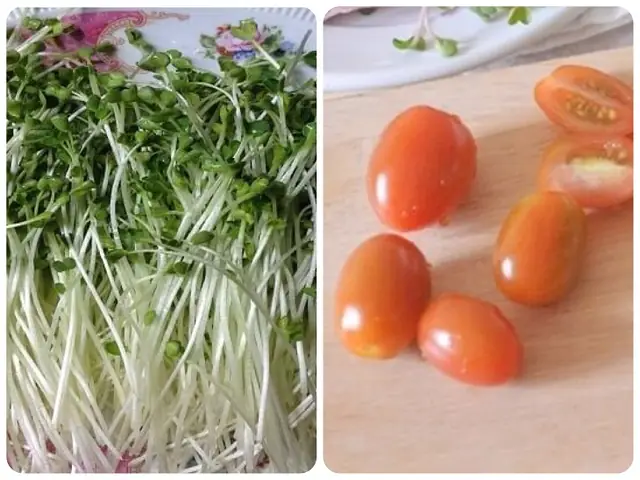 Salad rau mầm Salad rau mầm