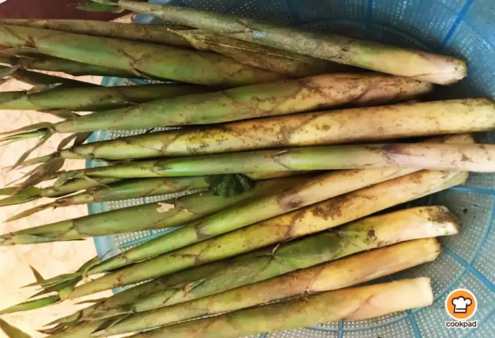 1. Măng Sặt Là Gì?