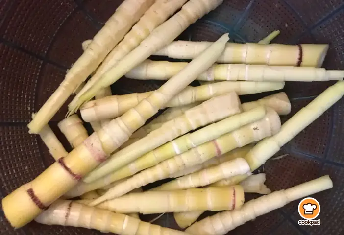 2. Măng Sặt Khác Gì Măng Trúc?