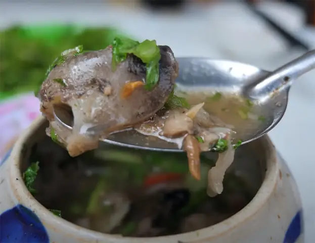 Mắt Cá Ngừ Đại Dương Hầm Thuốc Bắc