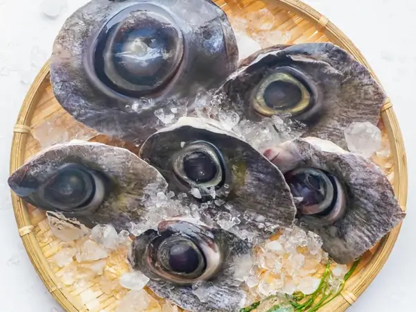 cách nấu mắt cá ngừ hầm thuốc bắc