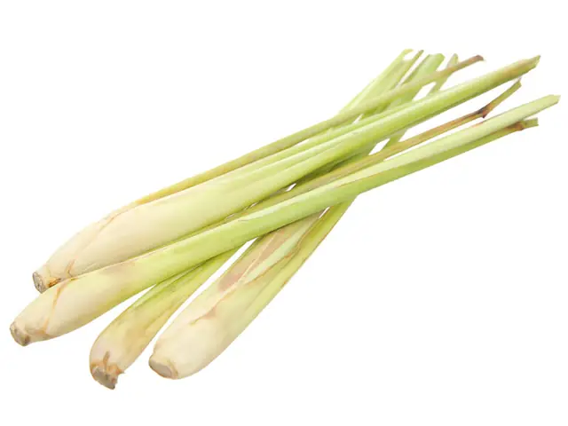 Sả Cây Miền Tây 500g Sả Cây Miền Tây 500g