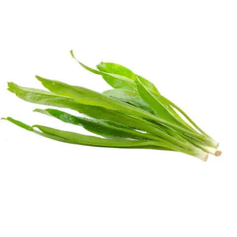 Ngò Gai (Mùi Tàu) Miền Tây Ngò Gai (Mùi Tàu) Miền Tây