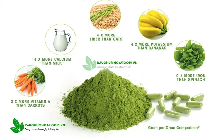 Mì Chùm Ngây Nguyên Minh– Sợi Mì Bổ Dưỡng Và Tươi Mát Nhờ Sắc Xanh Tự Nhiên Của Lá Chùm Ngây. Tự Hào Luôn Đồng Hành Cùng Những Bà Nội Trợ Trong Hành Trình Tạo Nên Một Menu Đa Dạng Món Ăn Và Phù Hợp Khẩu Vị Mọi Gia Đình.