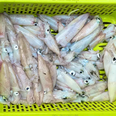 Ngon hơn khi ăn mì tôm mực giữa tiếng sóng biển và ánh bình minh