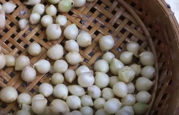 Bước 1: Sơ Chế Nguyên Liệu