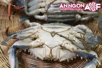 Cách Nấu Miến Cua Biển