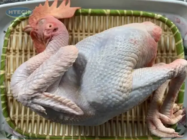 Sơ Chế Gà Không Bị Hôi