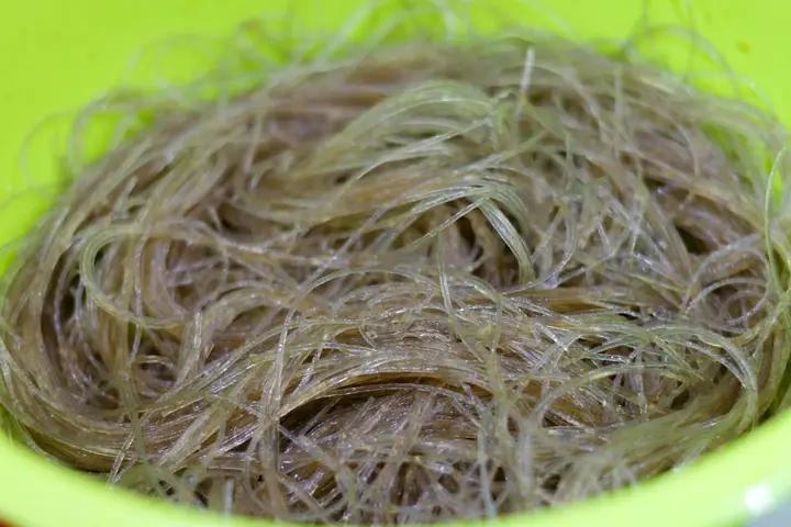 Cách Làm Miến Lươn Xào