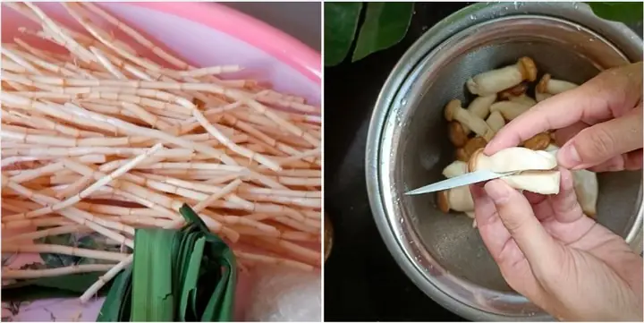 2.2. Hướng dẫn thực hiện