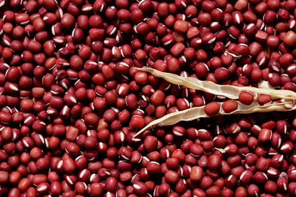 TỔNG HỢP CÁCH NẤU 10 MÓN CHAY THỰC DƯỠNG ĐƠN GIẢN