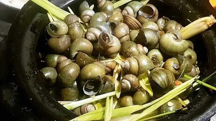 Bước 1: Sơ Chế Ốc Nhồi (ốc Bươu)