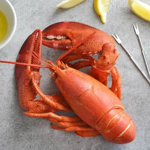 Tôm Hùm Làm Món Gì Ngon? Tổng Hợp Các Món Ngon Từ Tôm Hùm Cực Hấp Dẫn Tôm Hùm Làm Món Gì Ngon? Tổng Hợp Các Món Ngon Từ Tôm Hùm Cực Hấp Dẫn