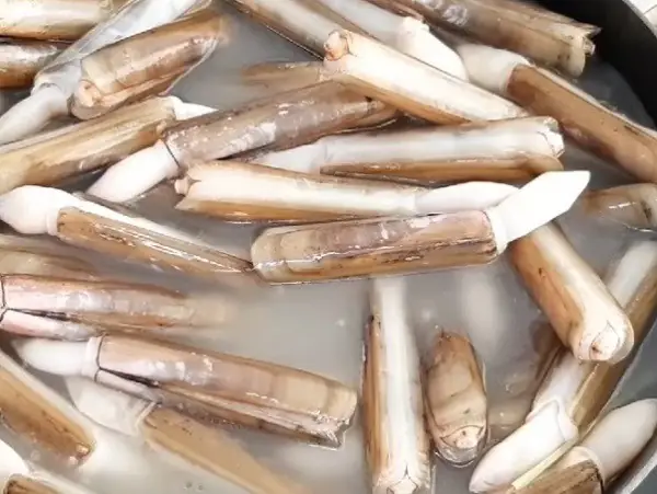 Cách làm ốc móng tay xào me chua ngọt