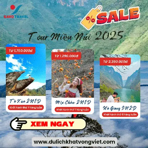 Cách chế biến mực một nắng xào cần tỏi tây Cách chế biến mực một nắng xào cần tỏi tây