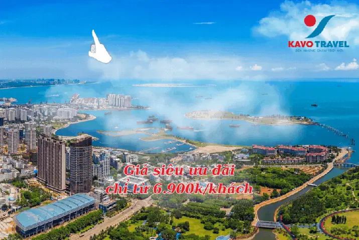 Cách chế biến mực một nắng xào cần tỏi tây Cách chế biến mực một nắng xào cần tỏi tây