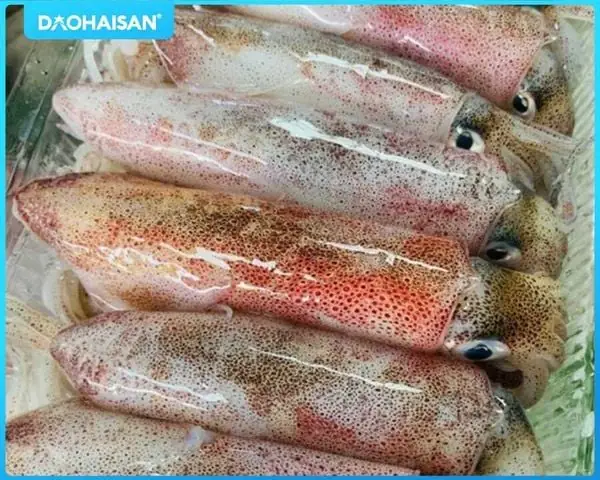 Bí Quyết Chọn Mực Tươi