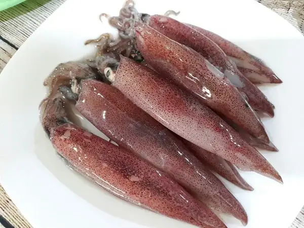 Lợi ích của mực trứng đối với sức khỏe