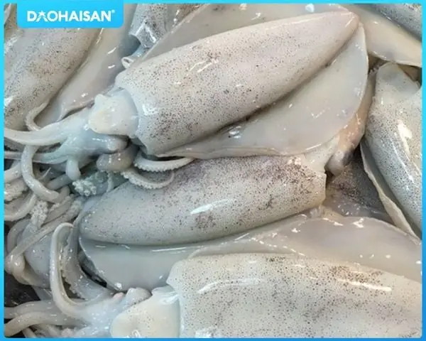 Chuẩn Bị Nguyên Liệu Làm Món Mực Xào Dưa Chua