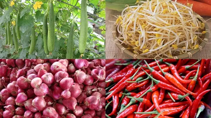 Cách Chọn Mua Nguyên Liệu Tươi Ngon