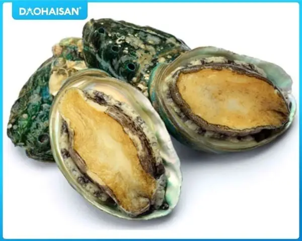 Chuẩn bị nguyên liệu cho món bào ngư hầm nấm đông cô