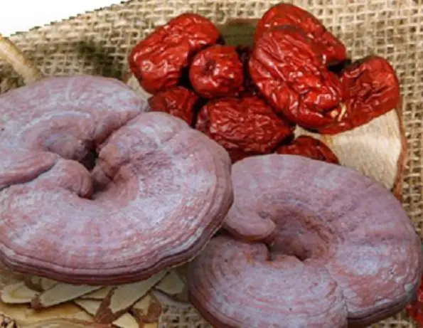 Cách Nấu Nấm Linh Chi Với Táo Đỏ Cách Nấu Nấm Linh Chi Với Táo Đỏ