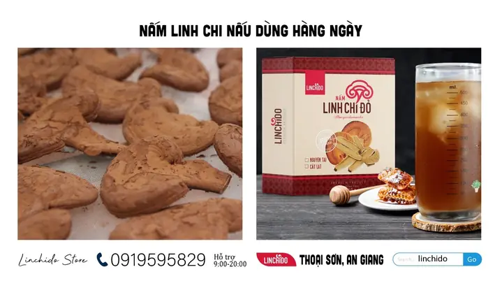 Hướng dẫn 8 cách sử dụng nấm linh chi chăm sóc sức khỏe - Ảnh 3. Hướng dẫn 8 cách sử dụng nấm linh chi chăm sóc sức khỏe - Ảnh 3.
