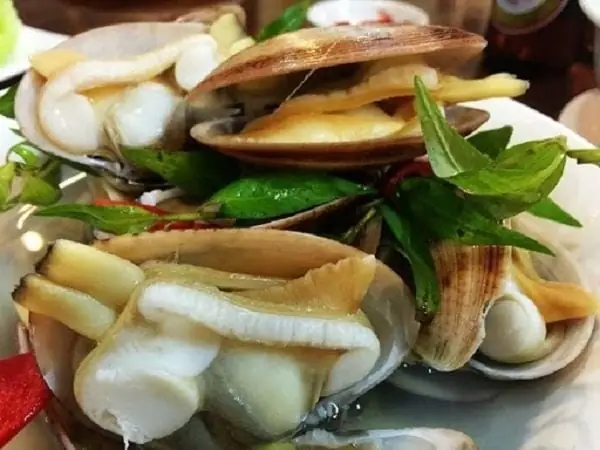 Ngao 2 cồi là gì?