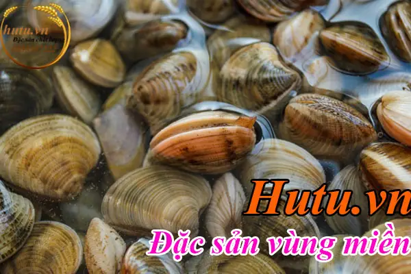 Cách Làm Nghêu Hấp Sả Món Ăn Dân Dã Ngon Khó Quên Cách Làm Nghêu Hấp Sả Món Ăn Dân Dã Ngon Khó Quên