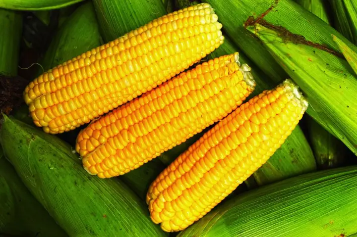 Chế Biến Ngô Ngọt Cho Bé Ăn Dặm