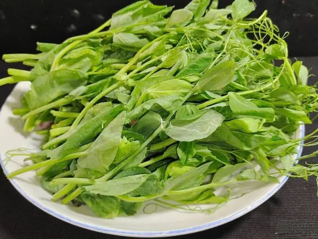 Rau Đậu Hà Lan Là Gì?