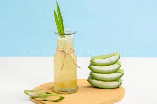 Cách Nấu Nha Đam Đường Phèn