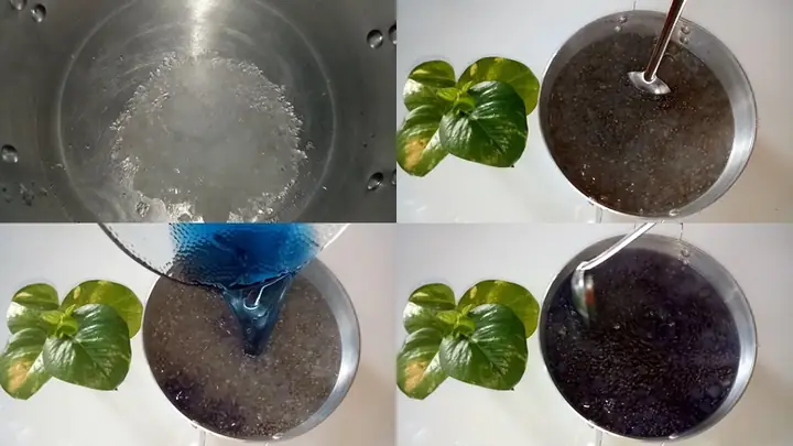 Cách Làm Nha Đam Hạt Chia Hoa Đậu Biếc Đường Phèn