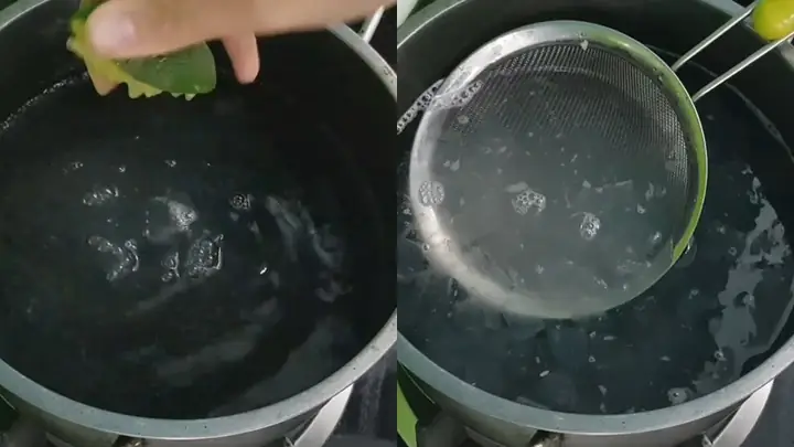 Cách Làm Nha Đam Hạt Chia Táo Đỏ Đường Phèn