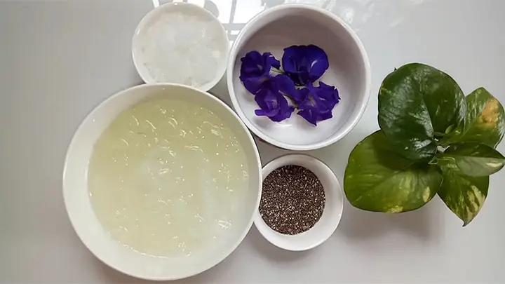 Nguyên Liệu Làm Nha Đam Hạt Chia Hoa Đậu Biếc Đường Phèn