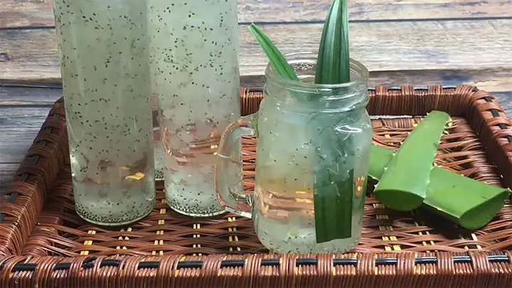 1nha Đam Hạt Chia Đường Phèn