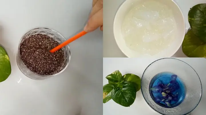 Cách Làm Nha Đam Hạt Chia Hoa Đậu Biếc Đường Phèn