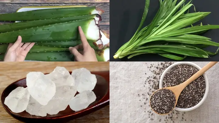 Nguyên Liệu Làm Nha Đam Hạt Chia Đường Phèn