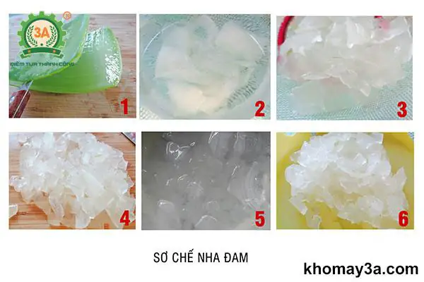 Cách Làm Nha Đam Đường Phèn