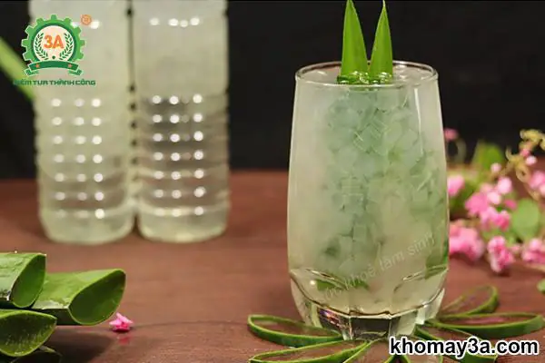 Cách Nấu Nha Đam Đường Phèn