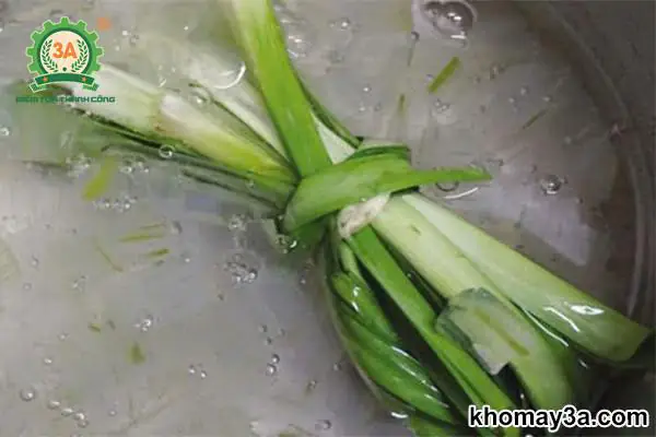 Cách Nấu Nha Đam Đường Phèn Lá Dứa