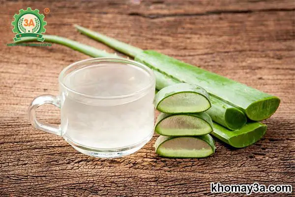 Cách Nấu Nha Đam Đường Phèn Ngon