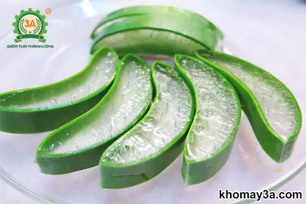 Cách Nấu Nha Đam Lá Dứa