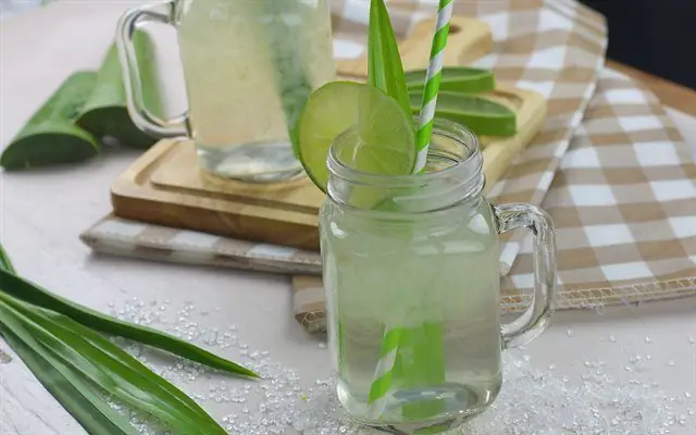 Cách Nấu Nha Đam Đường Phèn Lá Dứa Thơm Lừng