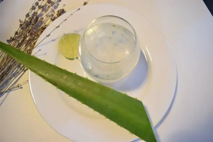 Giá Trị Dinh Dưỡng Của Nước Nha Đam Đường Phèn