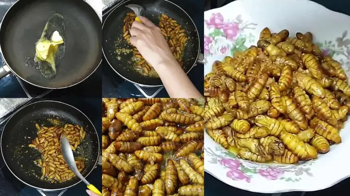 Nhộng ong xào bơ tỏi - Món ngon thơm dậy vị Nhộng ong xào bơ tỏi - Món ngon thơm dậy vị